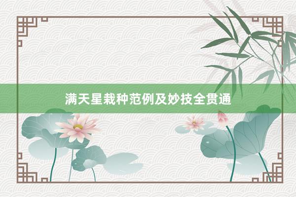 满天星栽种范例及妙技全贯通